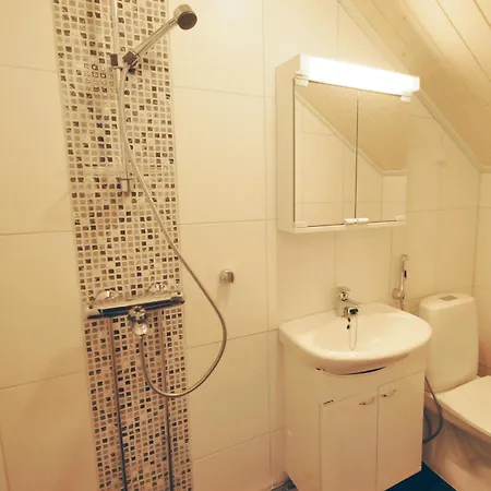 Haapaniemi فيلة إيسلمي